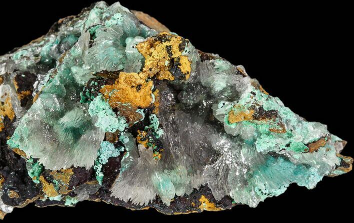 Rosasite, Aurichalcite and Selenite Crystal Association - Utah #109823